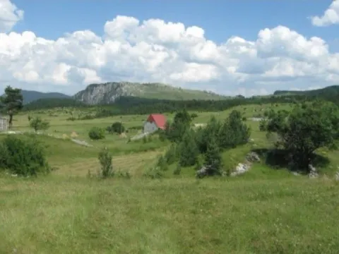Prodaja, plac, 10560m², Njegovuđa, Žabljak - image 4