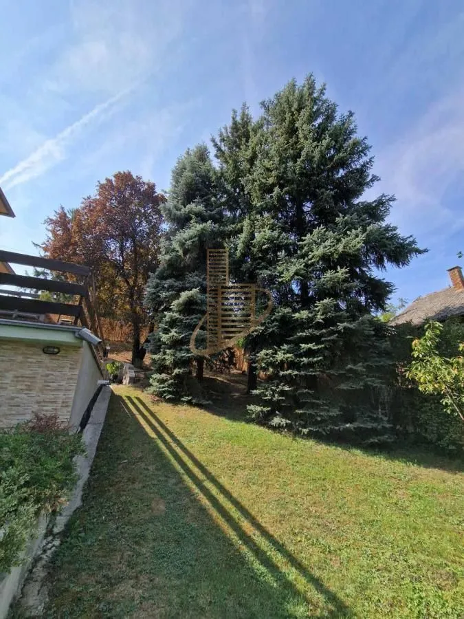 Sale, house, 254m², Beočin, Srbija