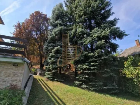 Sale, house, 254m², Beočin, Srbija - image 10