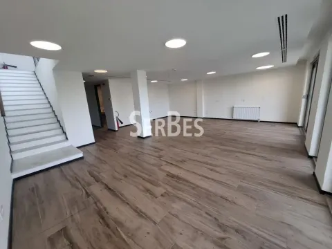 Izdavanje, poslovni prostor, 314m², Liman 3, Novi Sad Sve Podlokacije - image 15