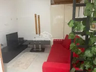 Prodaja, jednosoban stan, 34m², Centar Sve Podlokacije, Beograd - image 2