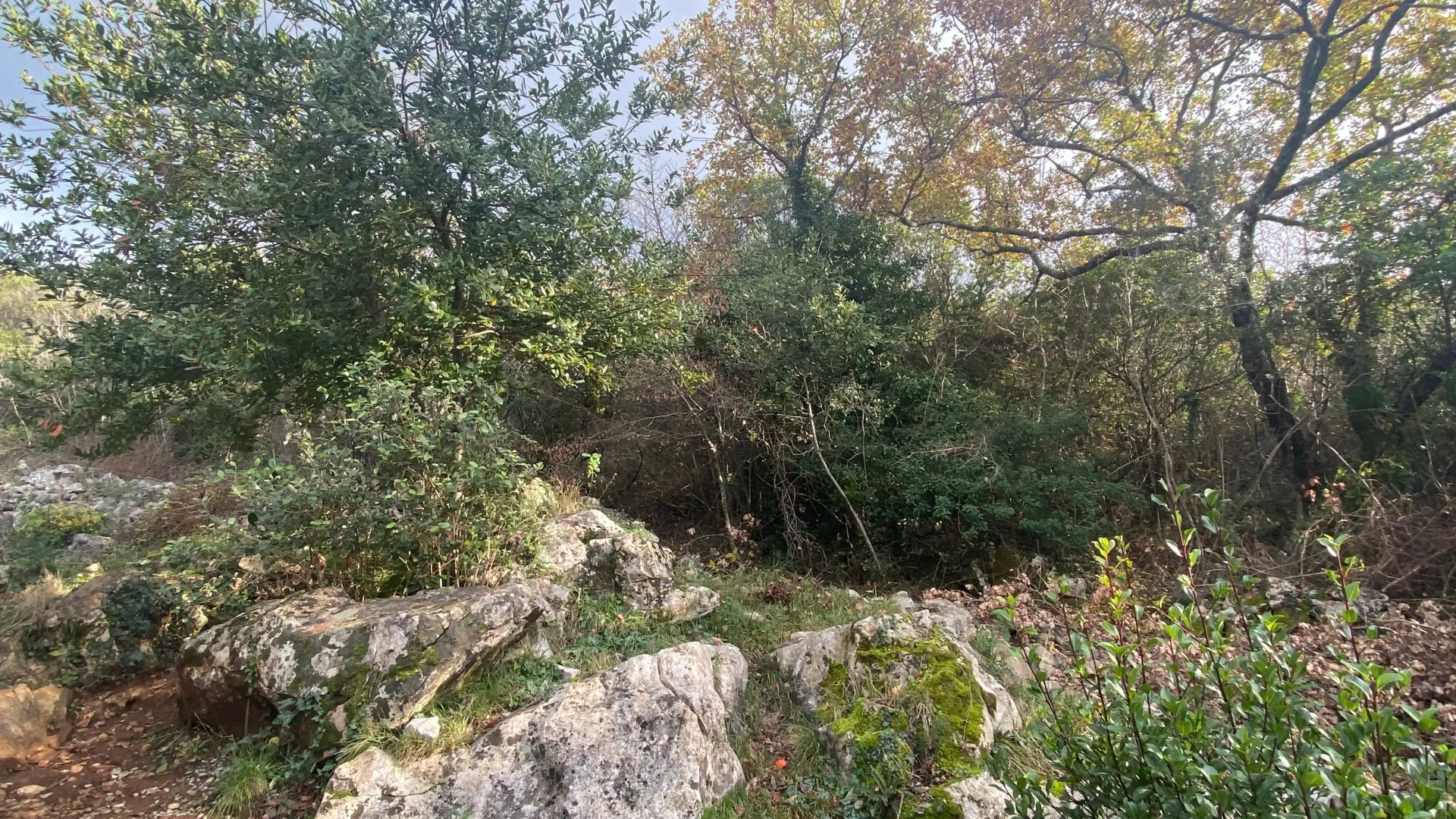 Sale, house, 65m², Kovači, Kotor