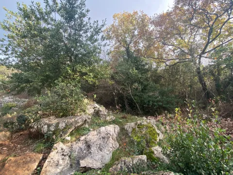 Sale, house, 65m², Kovači, Kotor - image 16