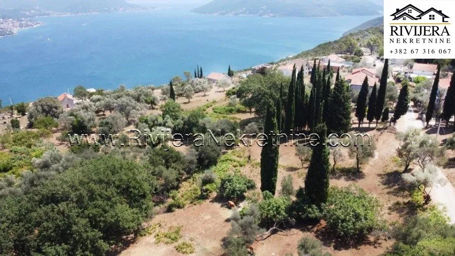 Prodaja, plac, 2391m², Žvinje, Herceg Novi