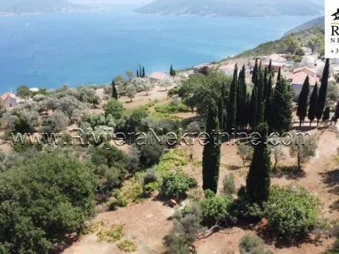 Prodaja, plac, 2391m², Žvinje, Herceg Novi - image 14