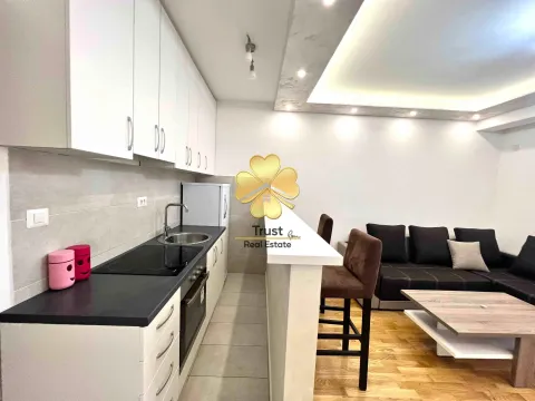 Izdavanje, garsonjera, 30m², Stari Aerodrom, Podgorica - image 3