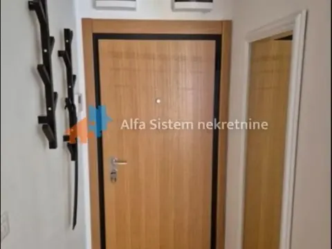 Rent, two bedroom apartment, 50m², Južni Bulevar, Vračar Sve Podlokacije - image 11