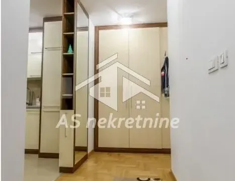 Izdavanje, dvosoban stan, 55m², Južni Bulevar, Vračar Sve Podlokacije - image 7