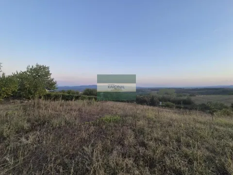 Prodaja, plac, 27920m², Siokovac, Jagodina - image 6