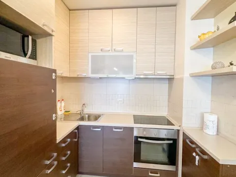 Izdavanje, jednosoban stan, 45m², Zabjelo, Podgorica - image 3