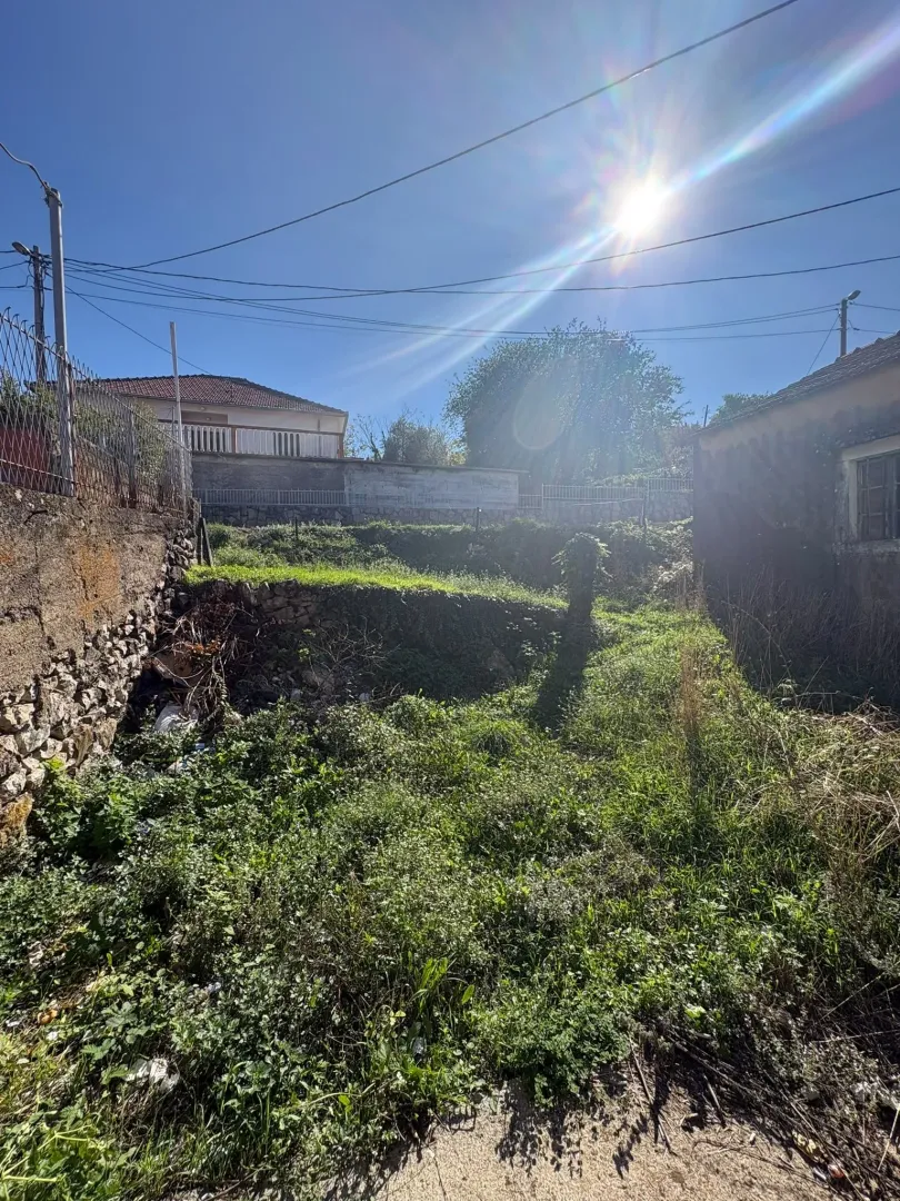 Pogled na zaraslo zemljište i okolne kuće sa sunčanim nebom.