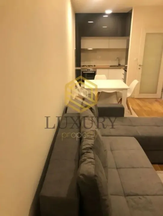 Rent, one bedroom apartment, 47m², Central Point, Podgorica