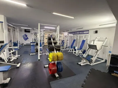 Izdavanje, poslovni prostor, 155m², Socijalno, Novi Sad Sve Podlokacije - image 5