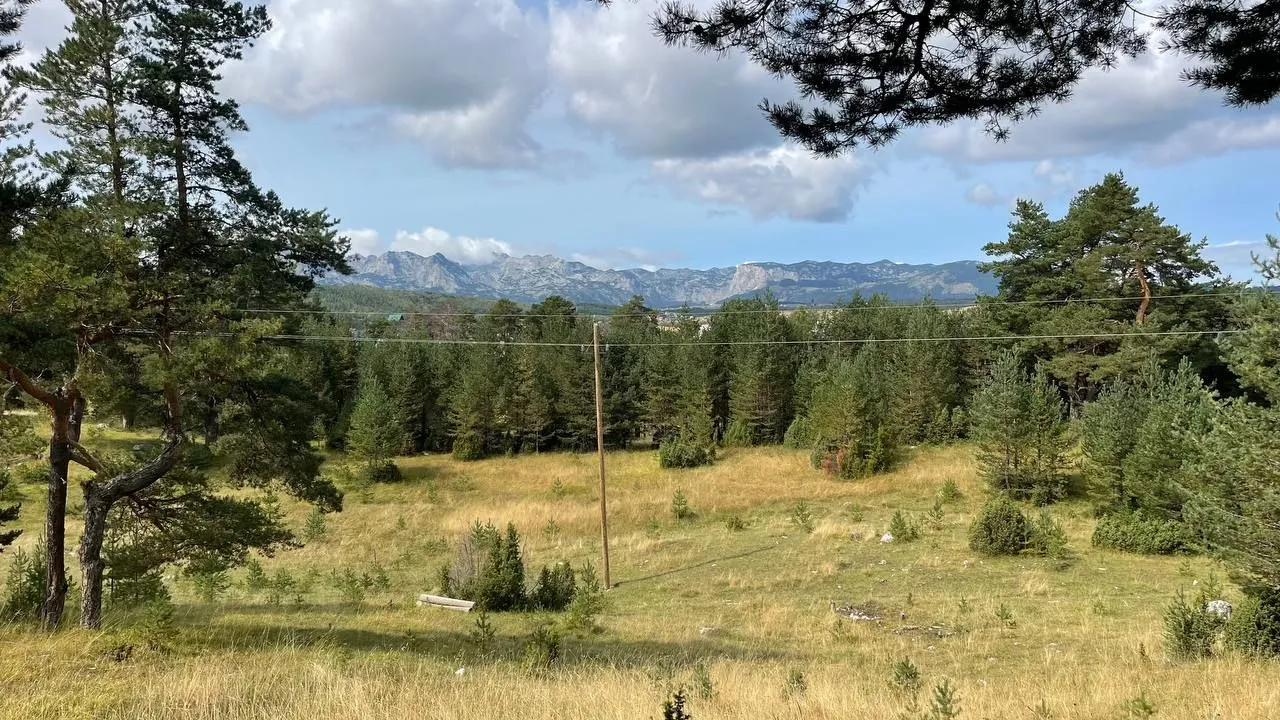 Sale, land lot, 12000m², Žabljak, Crna Gora