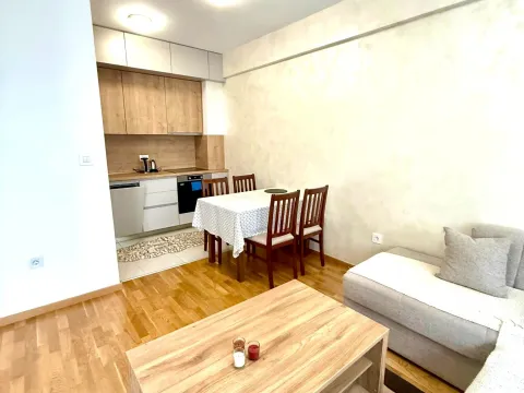 Izdavanje, jednosoban stan, 49m², Zabjelo, Podgorica - image 6