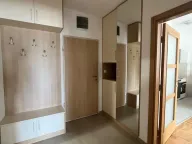 Izdavanje, jednosoban stan, 50m², Stari Aerodrom, Podgorica - image 10