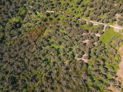 Prodaja, plac, 3030m², Ulcinj, Crna Gora - image 8