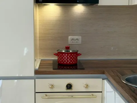 Izdavanje, stan, 33m², Petrovac, Budva - image 9