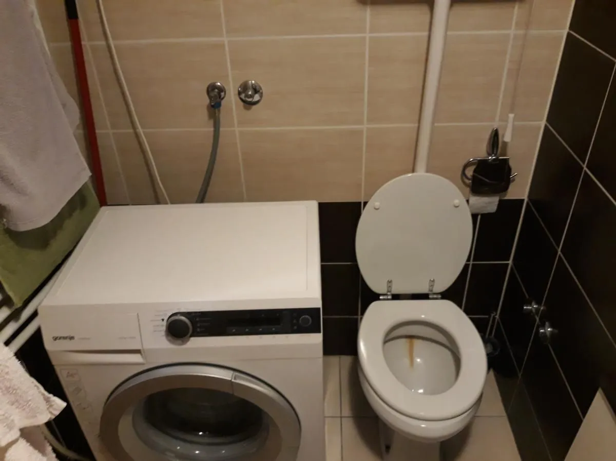 Izdavanje, dvosoban stan, 50m², Nova Detelinara, Novi Sad Sve Podlokacije