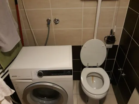 Izdavanje, dvosoban stan, 50m², Nova Detelinara, Novi Sad Sve Podlokacije - image 9