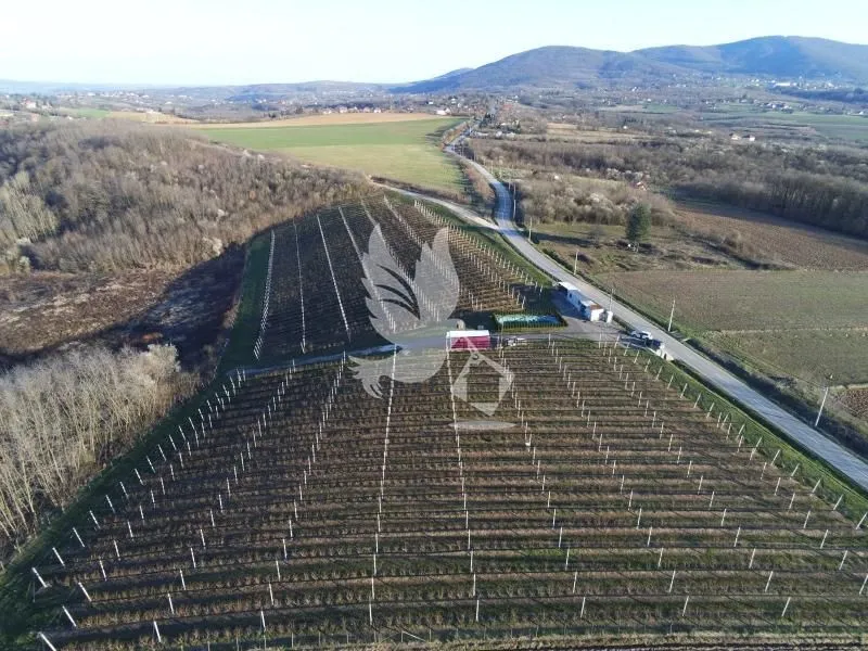 Prodaja, plac, 20000m², Nemenikuće, Sopot