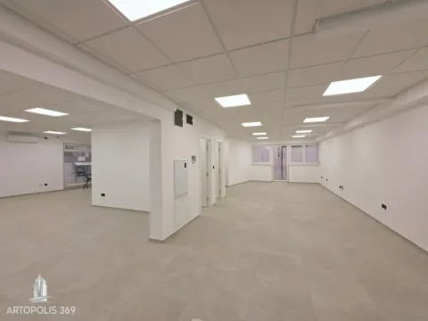 Rent, office space, 103m², Denkova Basta, Zvezdara Sve Podlokacije - image 8