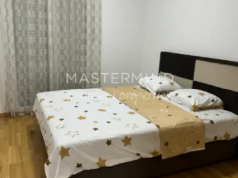 Izdavanje, jednosoban stan, 43m², Stari Aerodrom, Podgorica - image 8