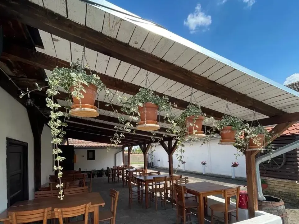 Sale, hospitality venue, 176m², Ruma, Srbija