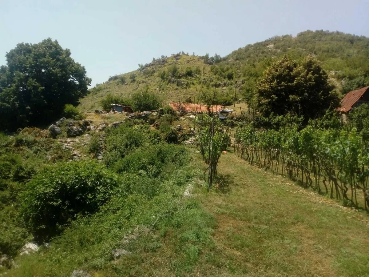 Prodaja, plac, 240000m², Štitari, Cetinje