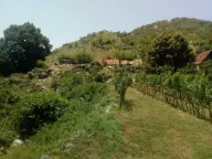 Sale, land lot, 240000m², Štitari, Cetinje - image 9
