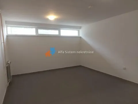 Izdavanje, kuća, 300m², Savski Venac, Beograd - image 15