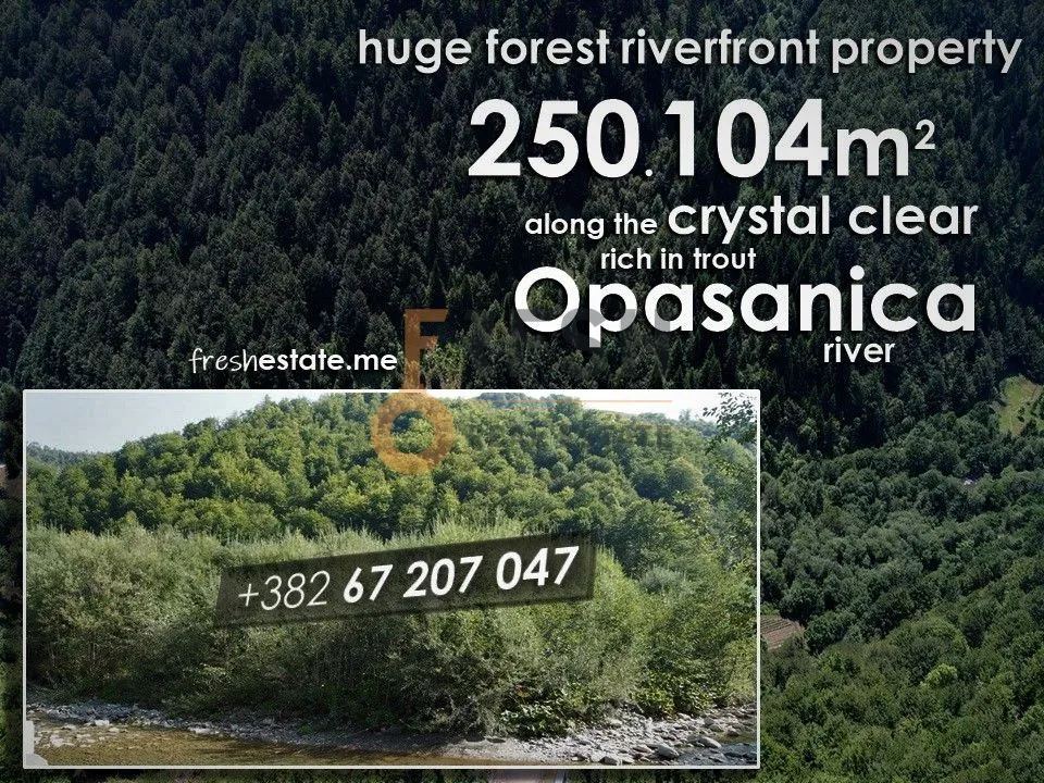 Prodaja, plac, 250104m², Ostalo, Podgorica