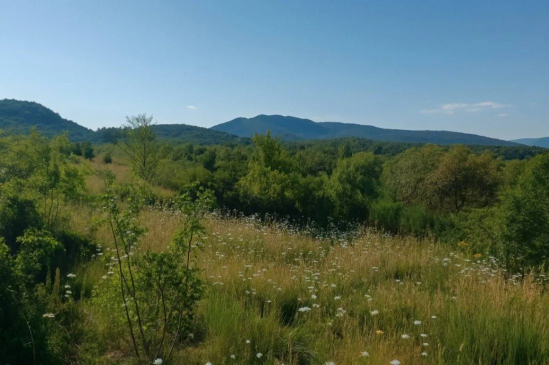 Prodaja, plac, 30962m², Lješanska Nahija, Podgorica