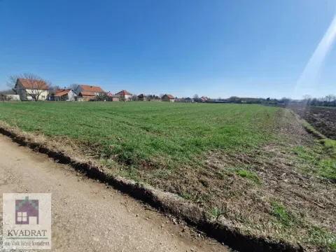 Prodaja, plac, 7500m², Zvečka, Obrenovac - image 3