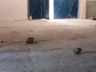 Izdavanje, poslovni prostor, 1700m², Gradska Bolnica, Zvezdara Sve Podlokacije - image 9