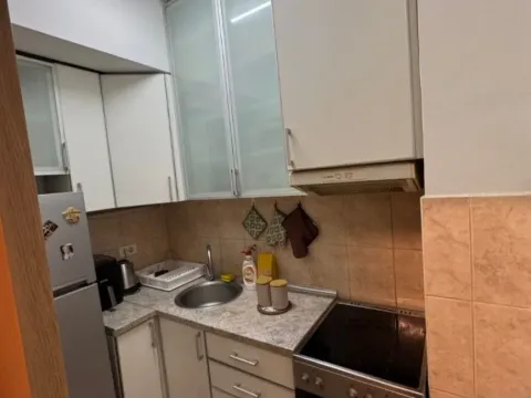 Izdavanje, jednosoban stan, 38m², Zabjelo, Podgorica - image 6