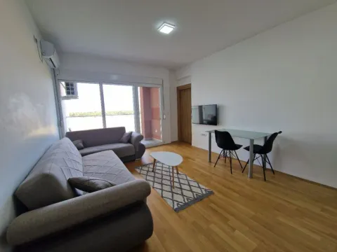 Izdavanje, jednosoban stan, 47m², Stari Aerodrom, Podgorica - image 2