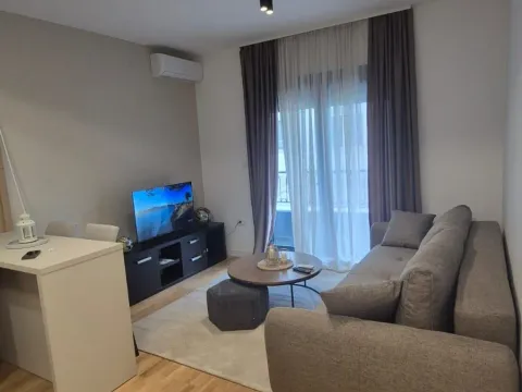 Rent, studio apartment, 26m², Zagorič, Podgorica - image 1