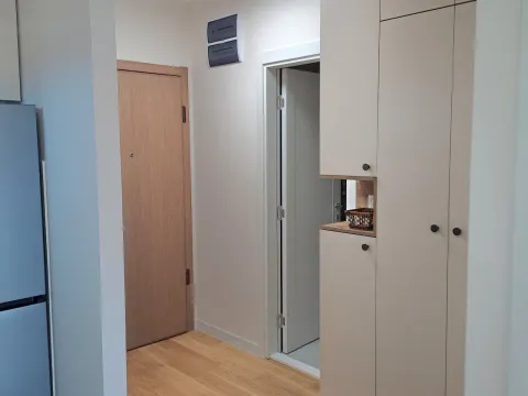 Izdavanje, jednosoban stan, 41m², Central Point, Podgorica - image 2