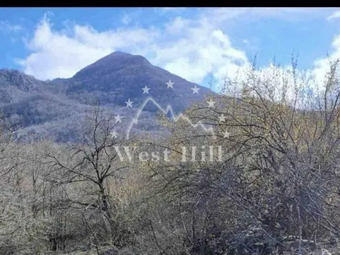Sale, land lot, 93700m², Ledenice, Kotor - image 7