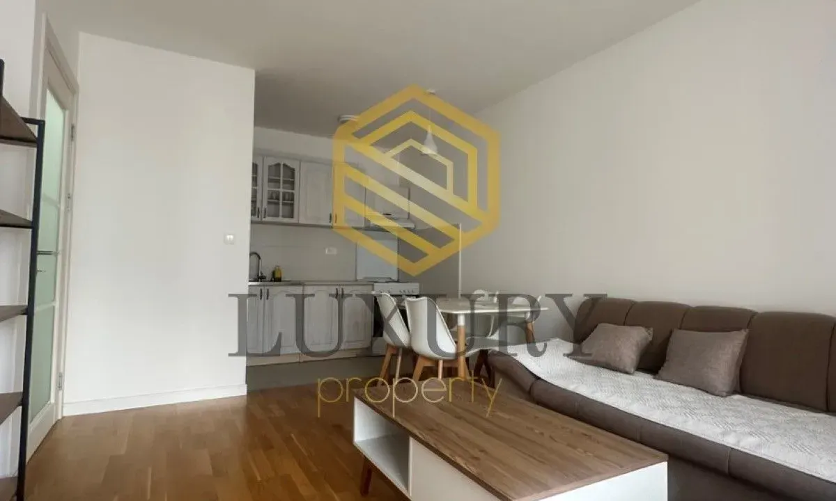 Rent, one bedroom apartment, 41m², Preko Morače, Podgorica