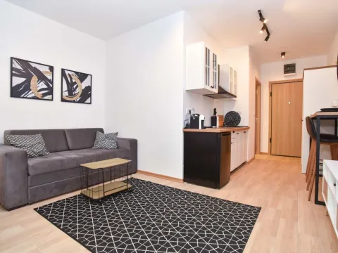 Rent, studio apartment, 30m², Budva, Crna Gora - image 5