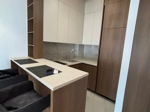 Rent, one bedroom apartment, 37m², Zabjelo, Podgorica - image 4