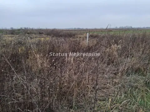 Prodaja, plac, 769m², Futog, Novi Sad Sve Podlokacije - image 5