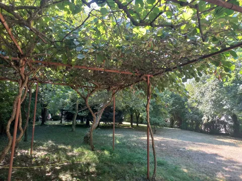 Prodaja, kuća, 127m², Novo Selo, Danilovgrad - image 9