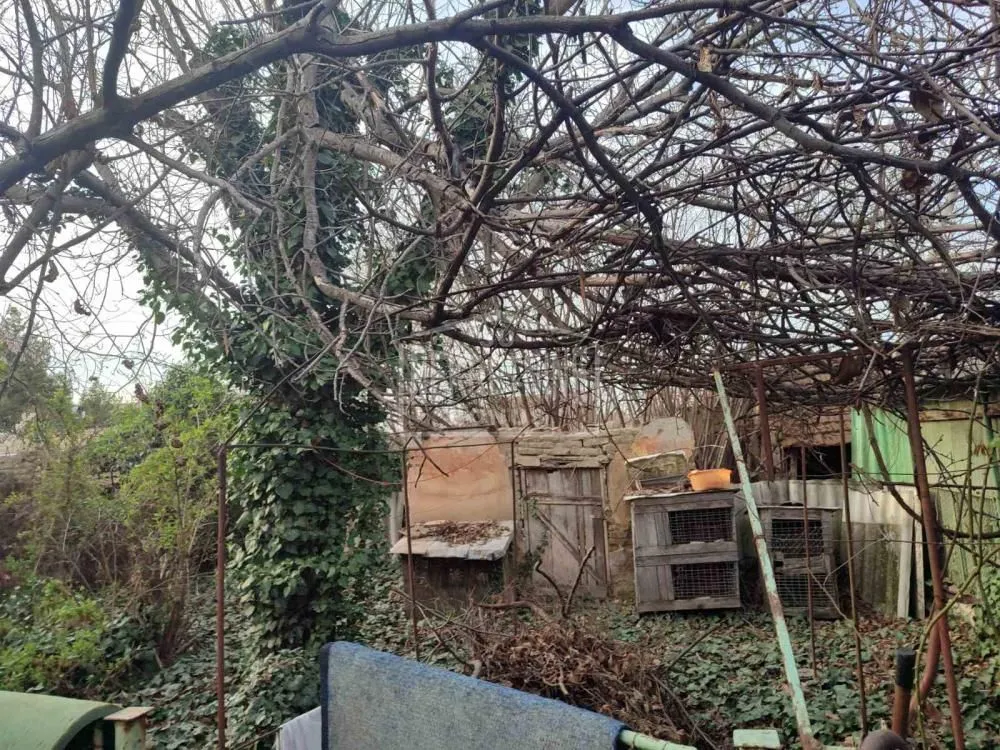Prodaja, kuća, 128m², Novo Selo, Subotica