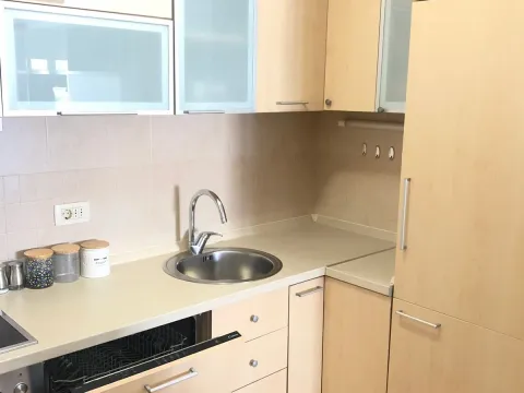 Prodaja, jednosoban stan, 44m², Stari Aerodrom, Podgorica - image 15