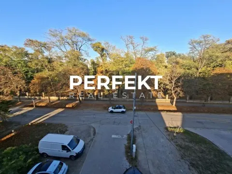 Pogled sa prozora na ulicu, parking i park sa drvećem. - image 12
