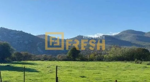 Prodaja, plac, 685m², Kokoti, Podgorica