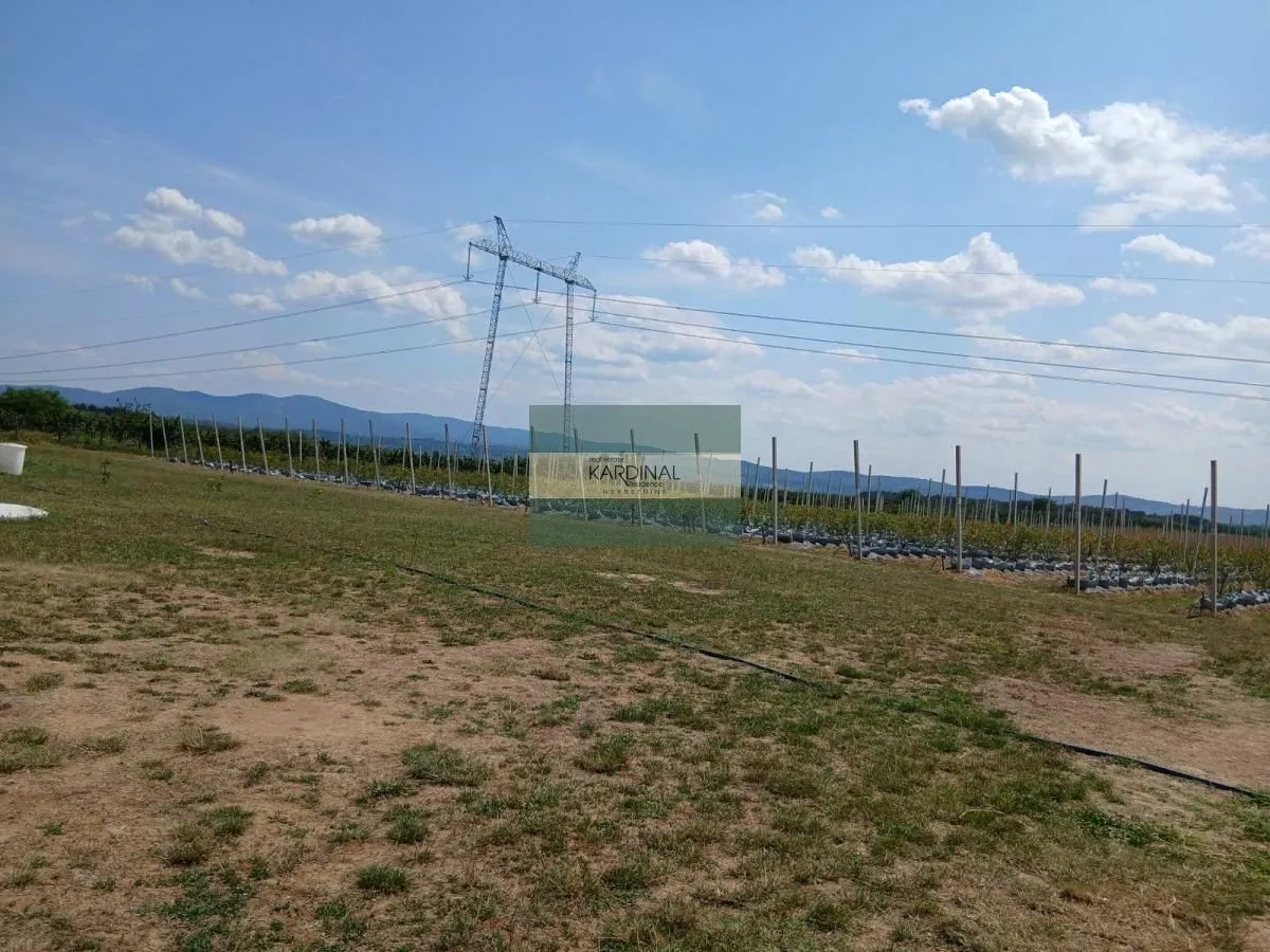 Prodaja, plac, 285100m², Medjureč, Jagodina